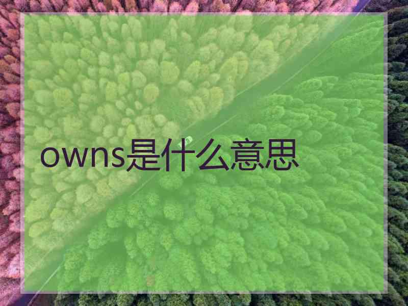 owns是什么意思