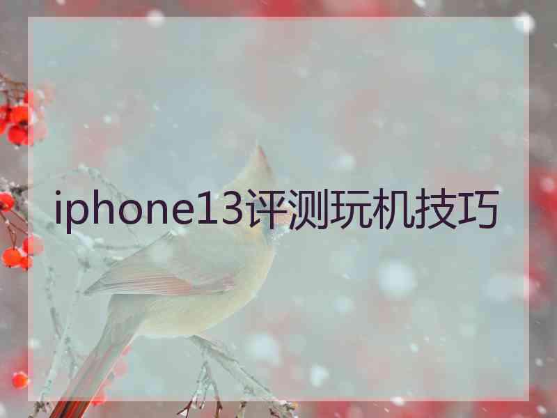 iphone13评测玩机技巧