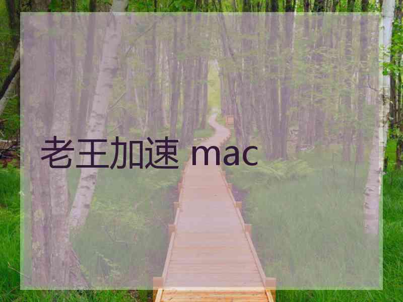 老王加速 mac