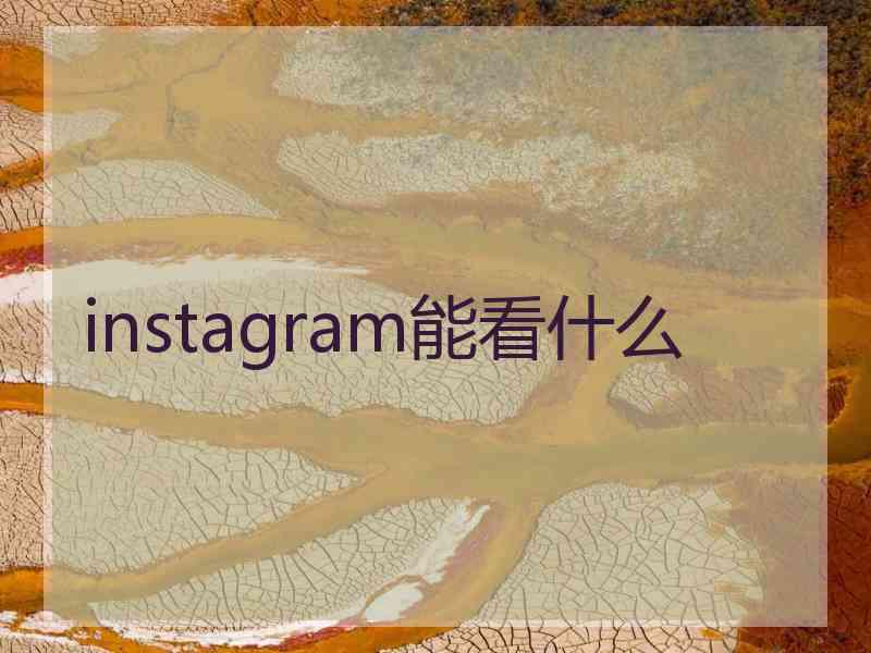 instagram能看什么