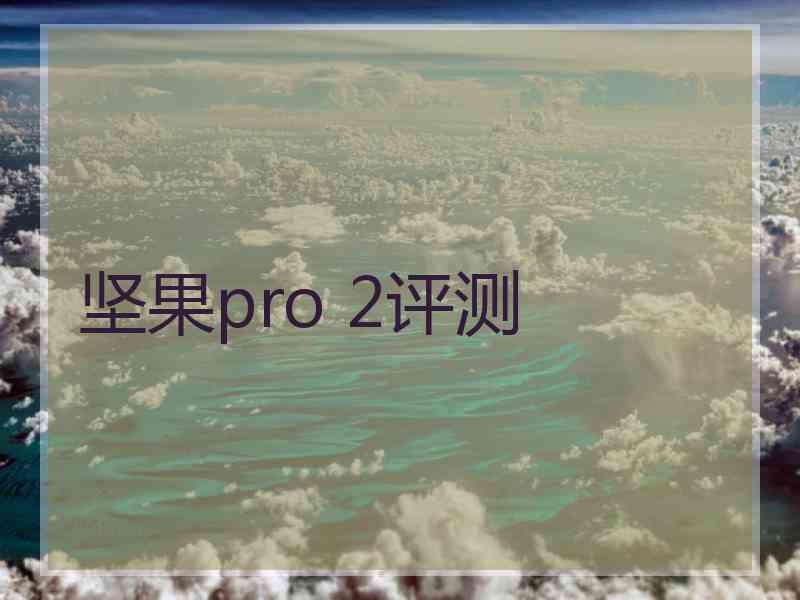 坚果pro 2评测