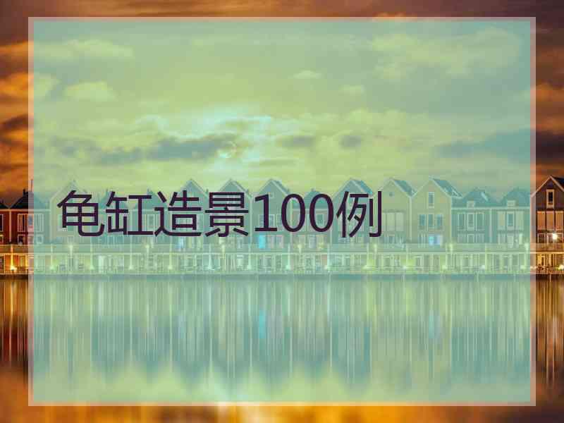 龟缸造景100例