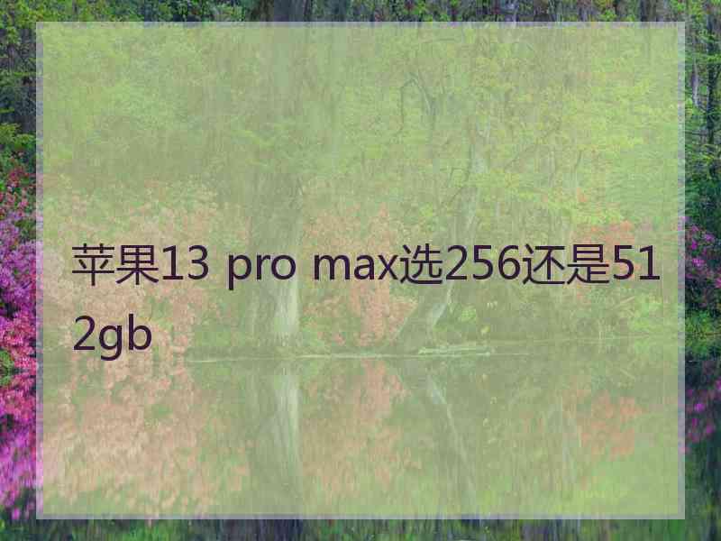 苹果13 pro max选256还是512gb