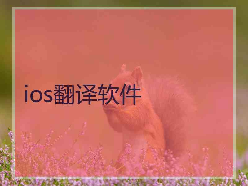 ios翻译软件