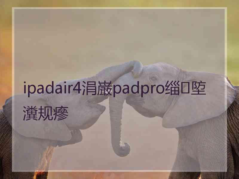 ipadair4涓巌padpro缁埅瀵规瘮