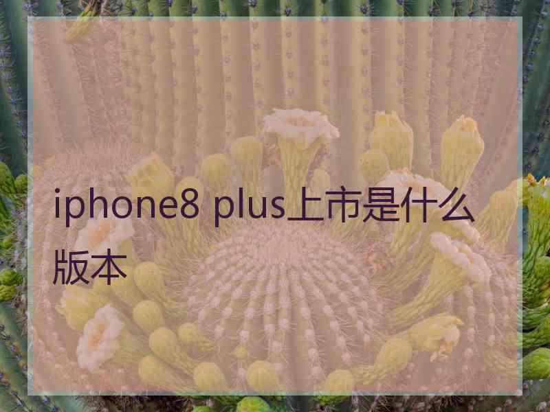 iphone8 plus上市是什么版本