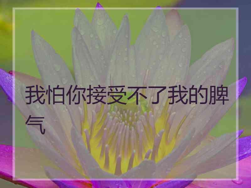 我怕你接受不了我的脾气