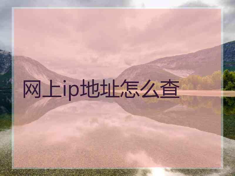 网上ip地址怎么查