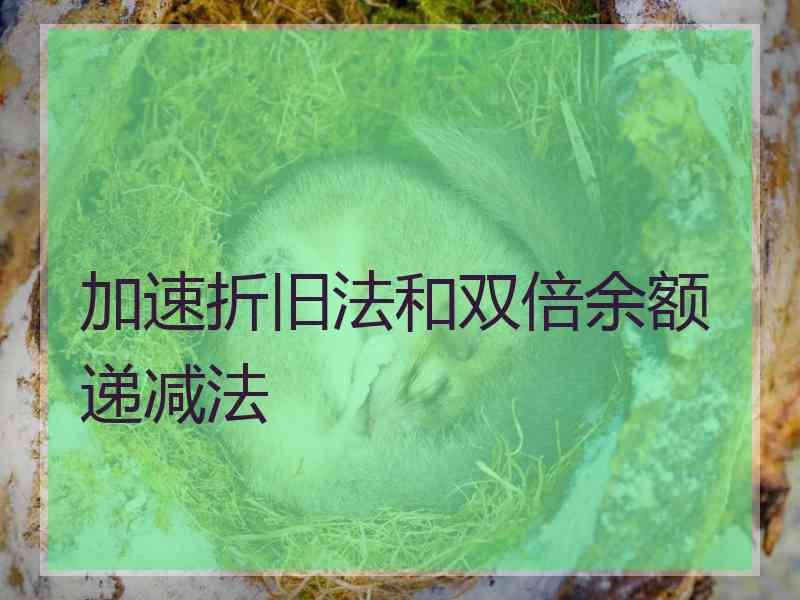 加速折旧法和双倍余额递减法