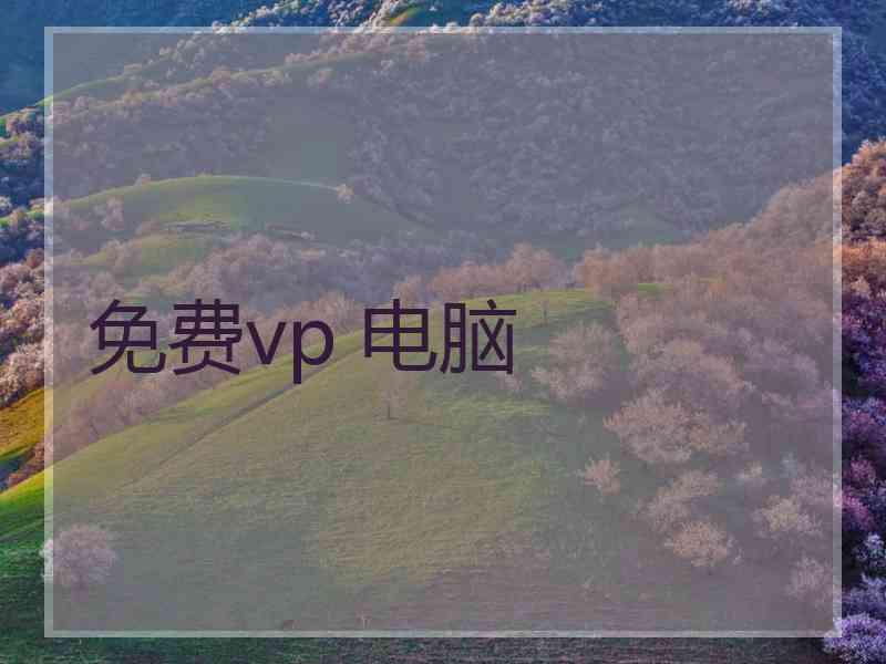 免费vp 电脑