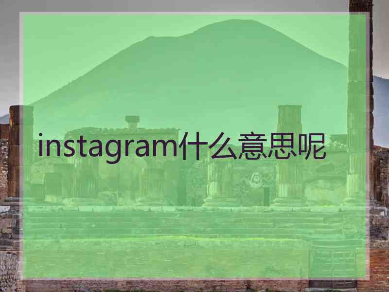 instagram什么意思呢