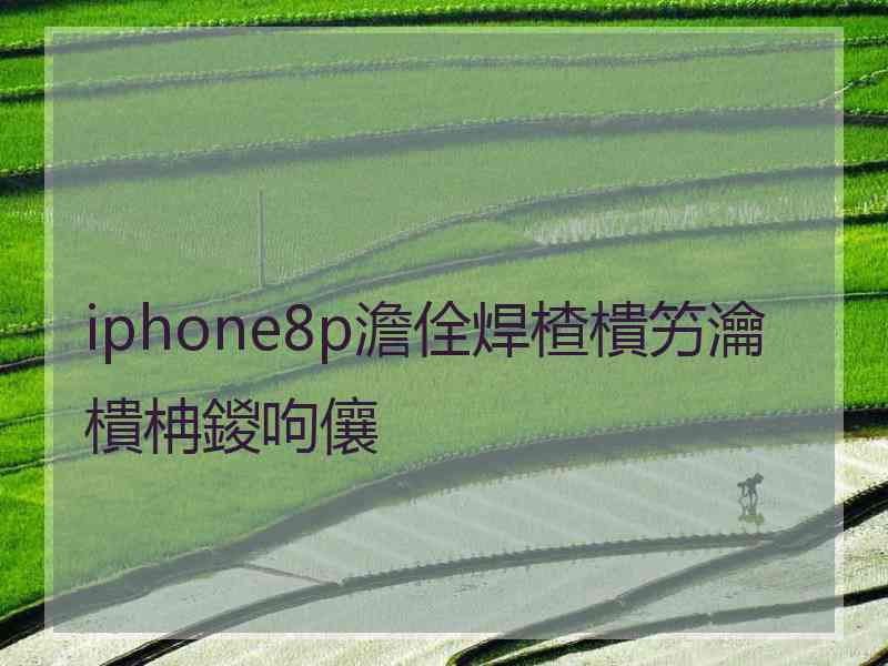 iphone8p澹佺焊楂樻竻瀹樻柟鍐呴儴