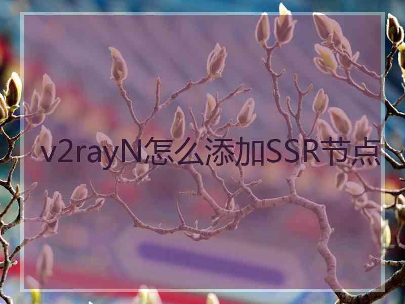 v2rayN怎么添加SSR节点