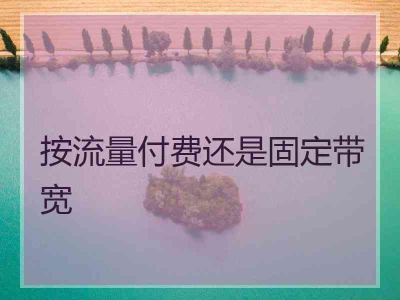 按流量付费还是固定带宽