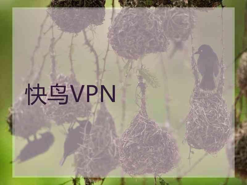 快鸟VPN