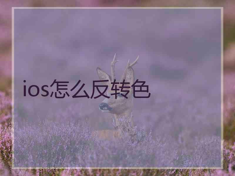 ios怎么反转色