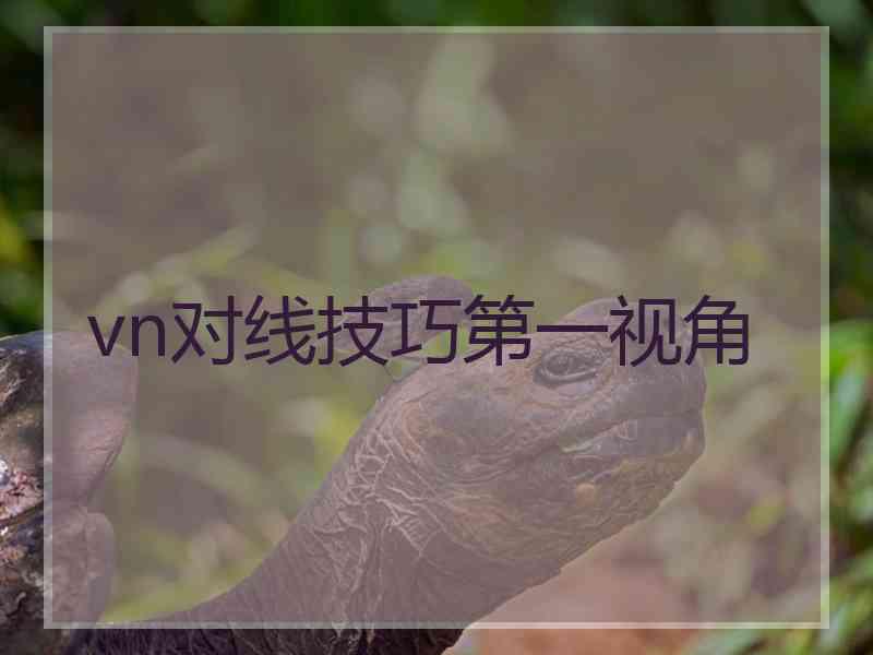 vn对线技巧第一视角