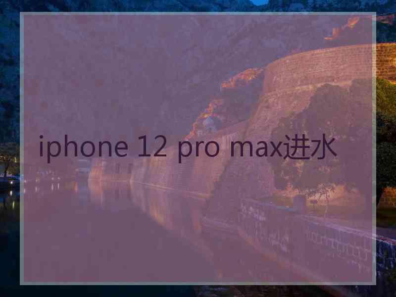 iphone 12 pro max进水