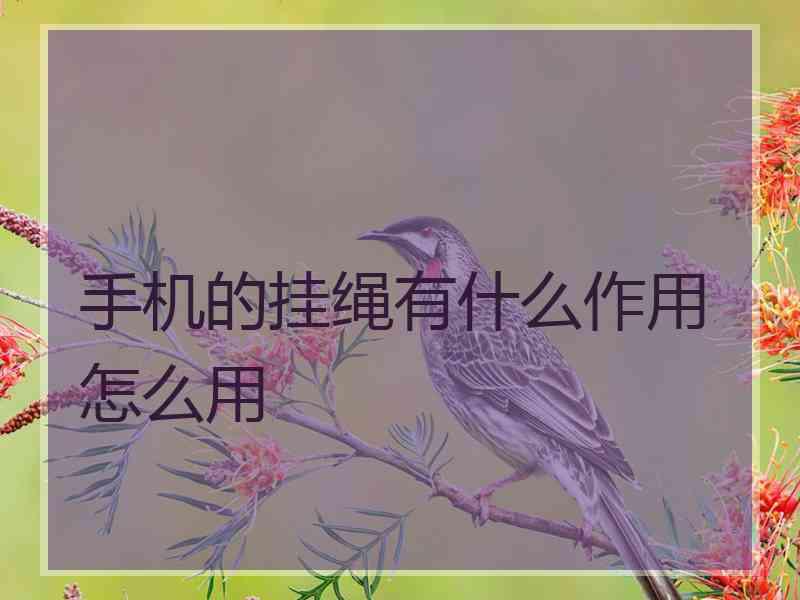 手机的挂绳有什么作用怎么用