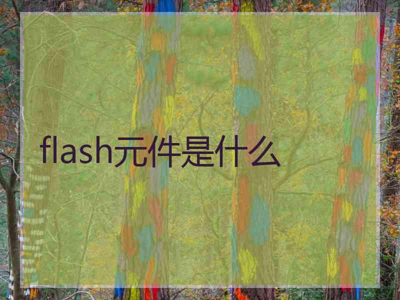 flash元件是什么