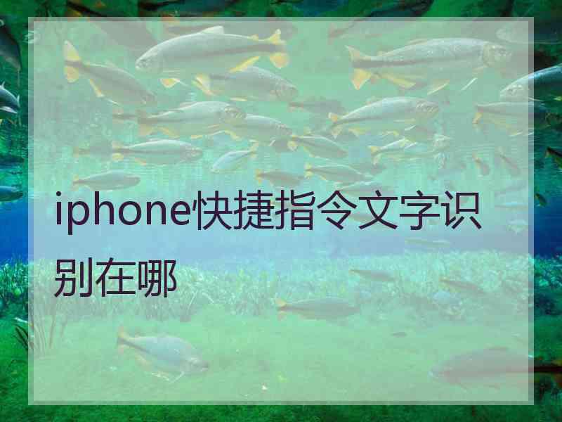 iphone快捷指令文字识别在哪