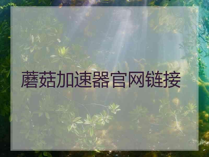 蘑菇加速器官网链接