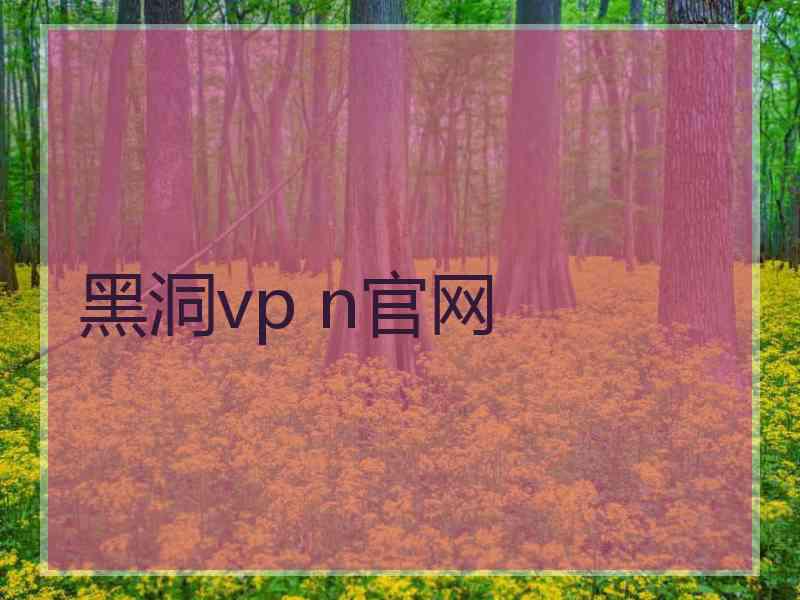 黑洞vp n官网