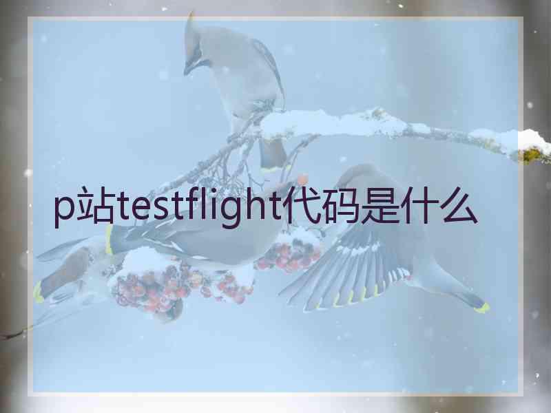 p站testflight代码是什么