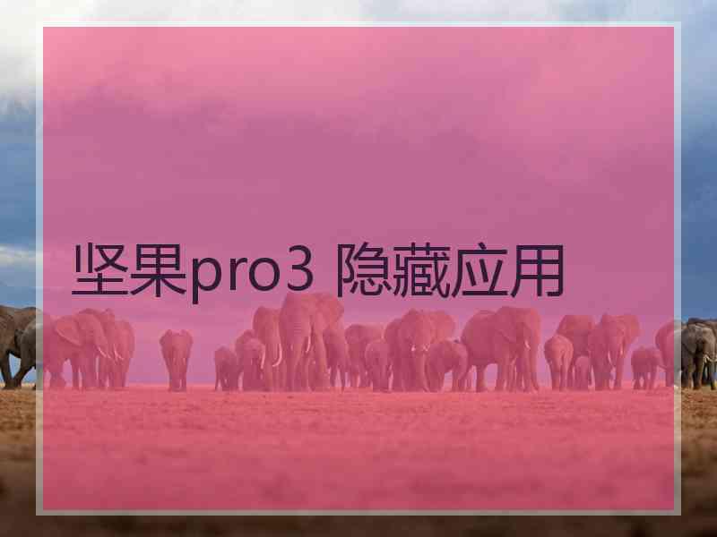 坚果pro3 隐藏应用