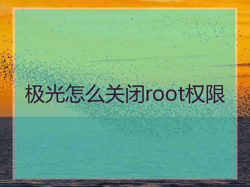 极光怎么关闭root权限