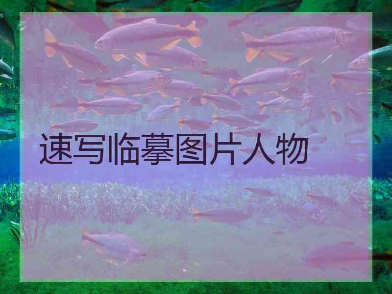 速写临摹图片人物