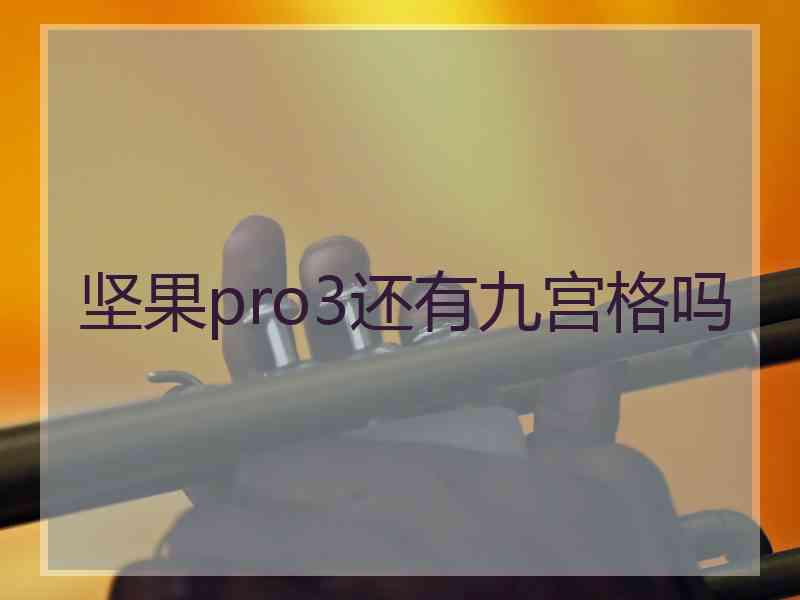 坚果pro3还有九宫格吗