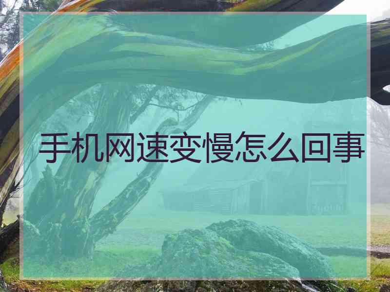 手机网速变慢怎么回事