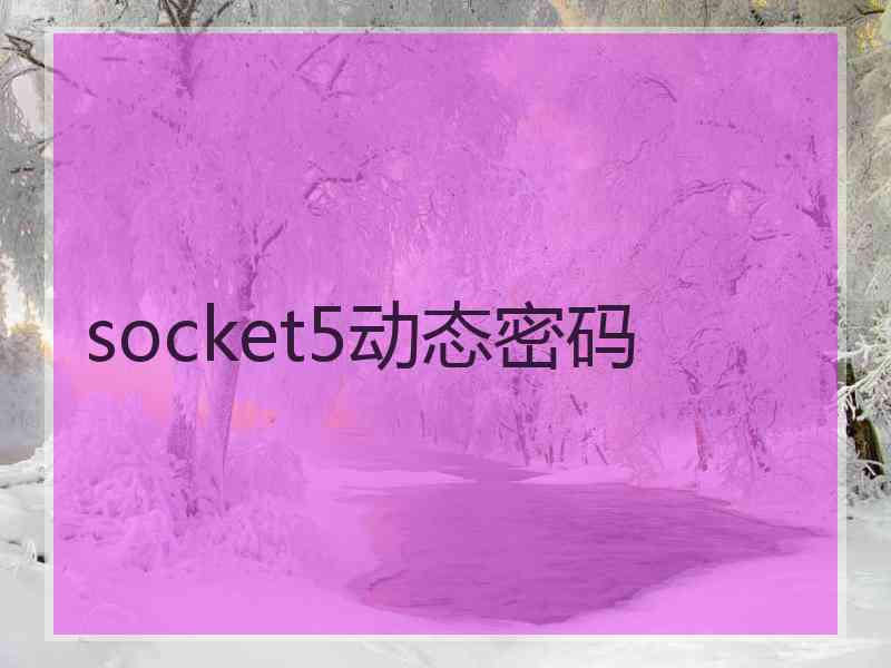 socket5动态密码