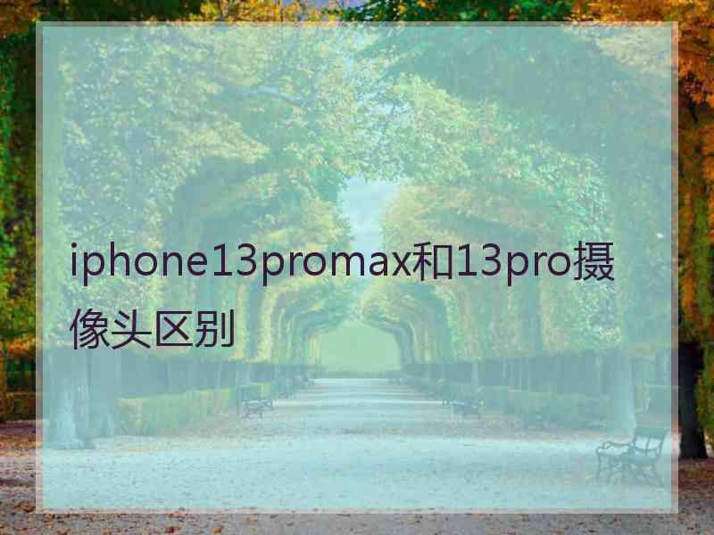 iphone13promax和13pro摄像头区别