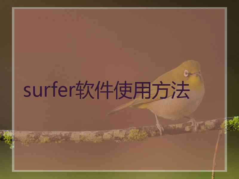 surfer软件使用方法