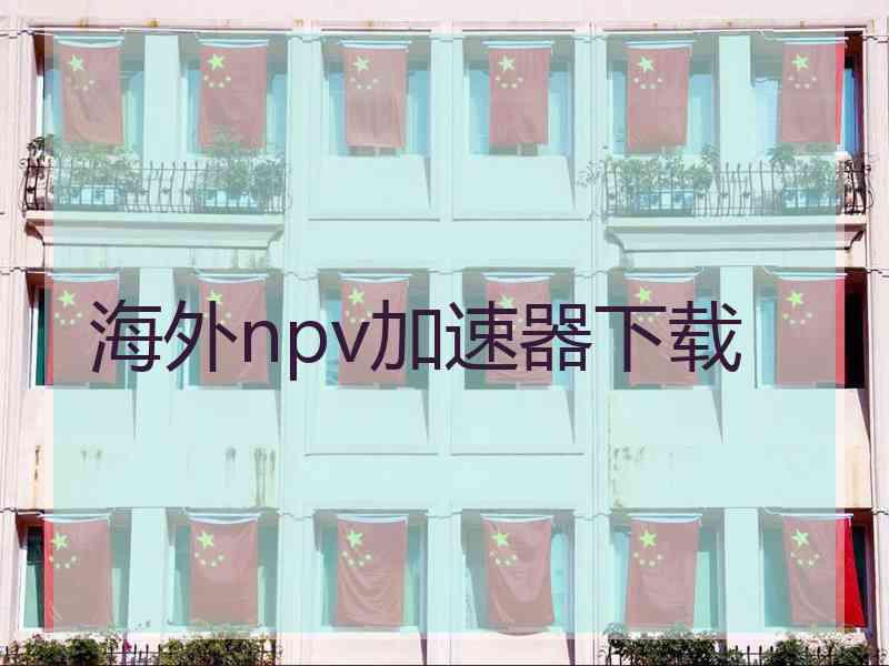 海外npv加速器下载