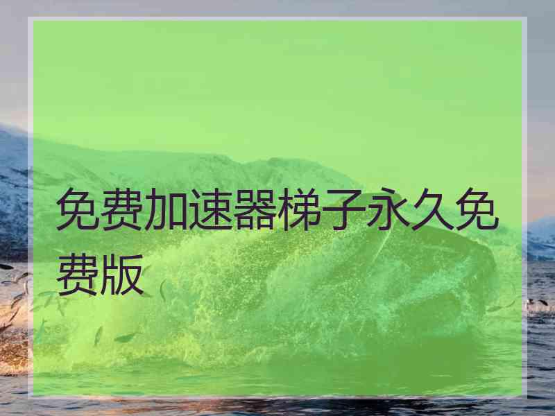 免费加速器梯子永久免费版