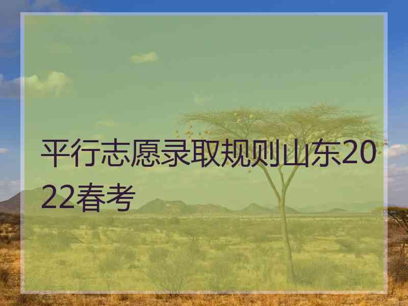 平行志愿录取规则山东2022春考