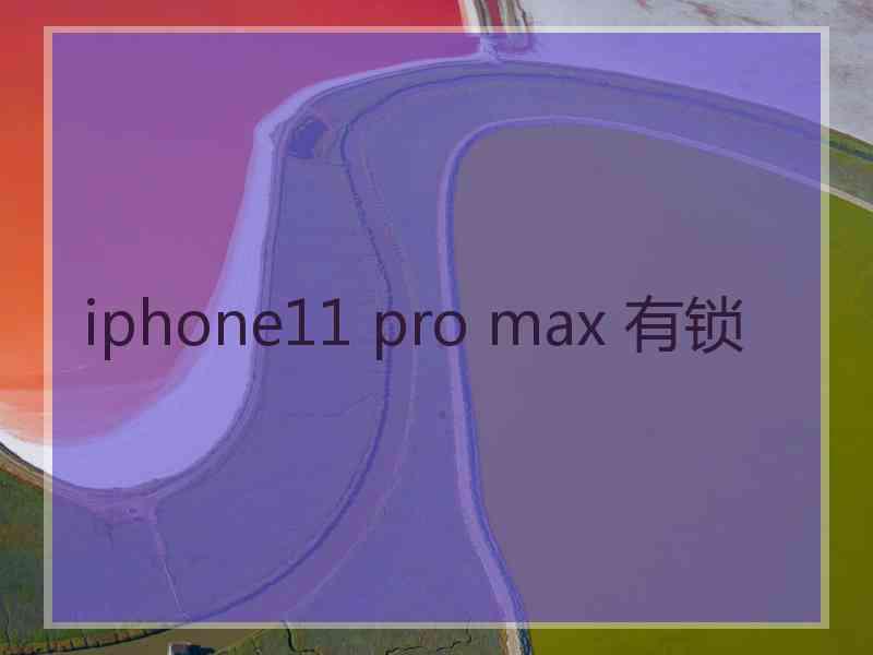 iphone11 pro max 有锁