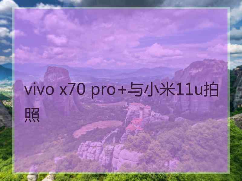 vivo x70 pro+与小米11u拍照