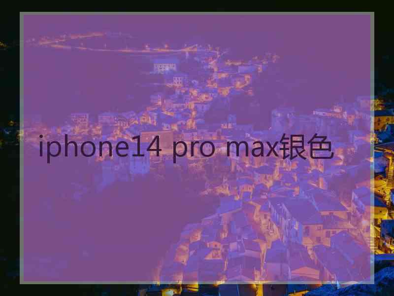 iphone14 pro max银色