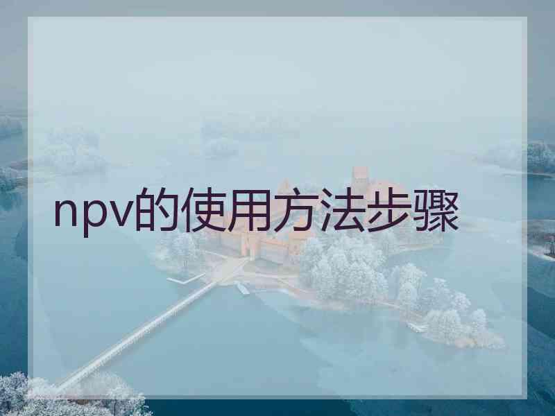 npv的使用方法步骤