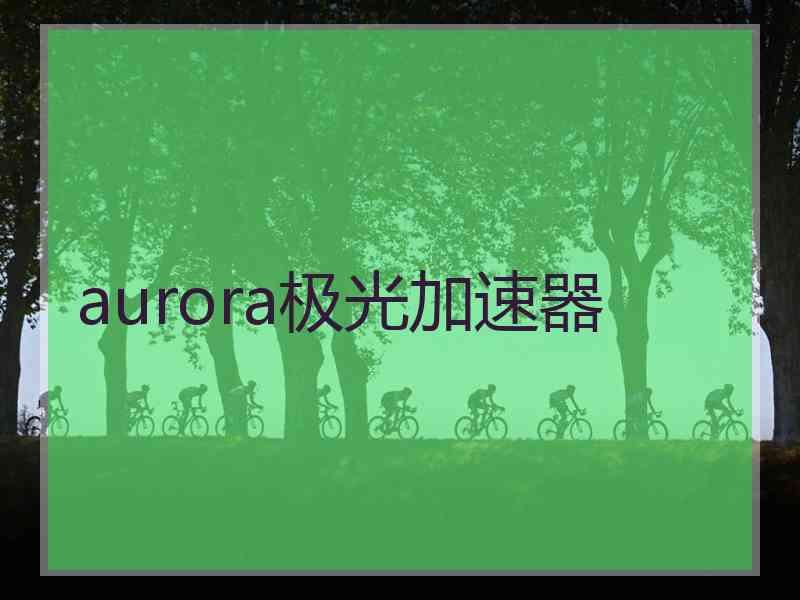 aurora极光加速器