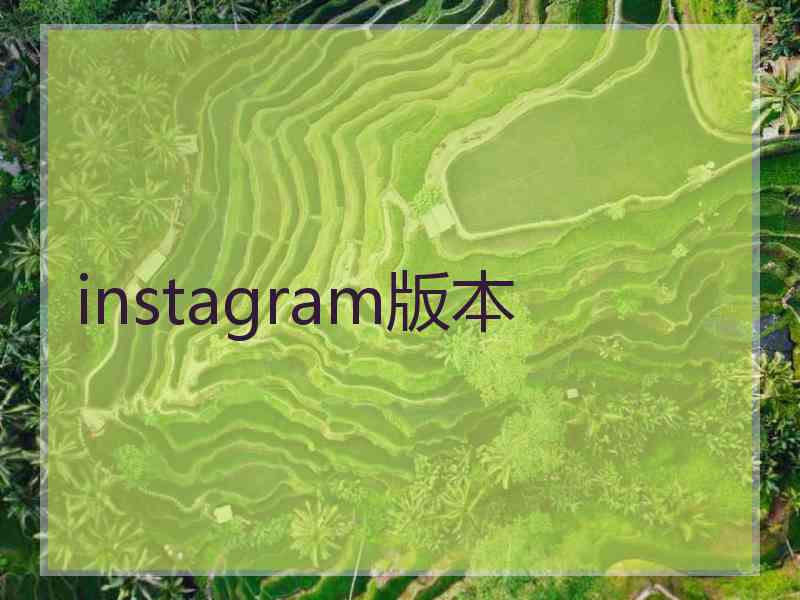 instagram版本