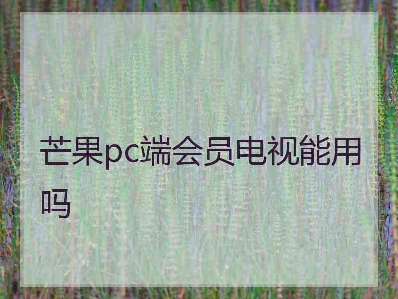 芒果pc端会员电视能用吗