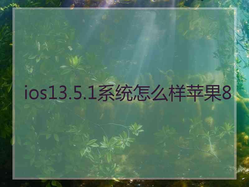 ios13.5.1系统怎么样苹果8