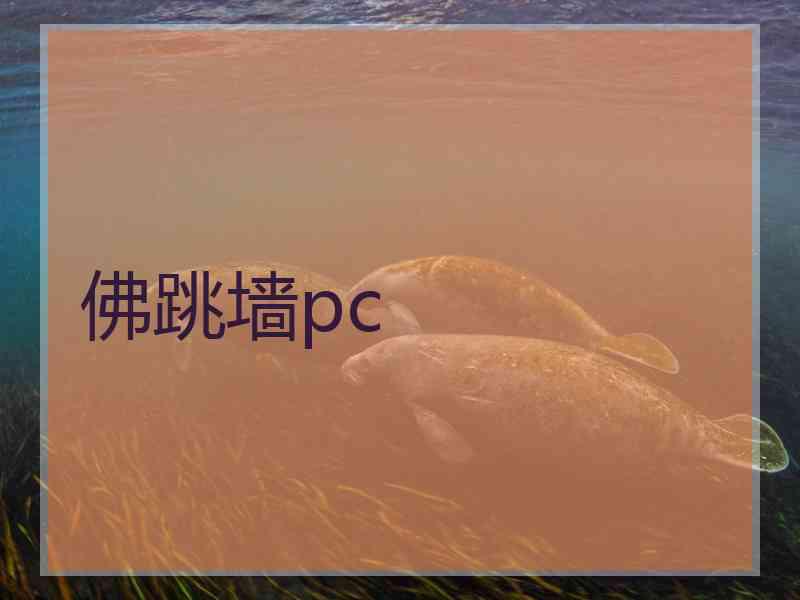 佛跳墙pc