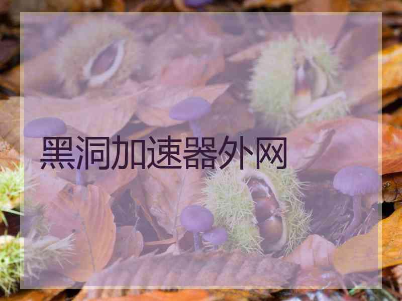 黑洞加速器外网