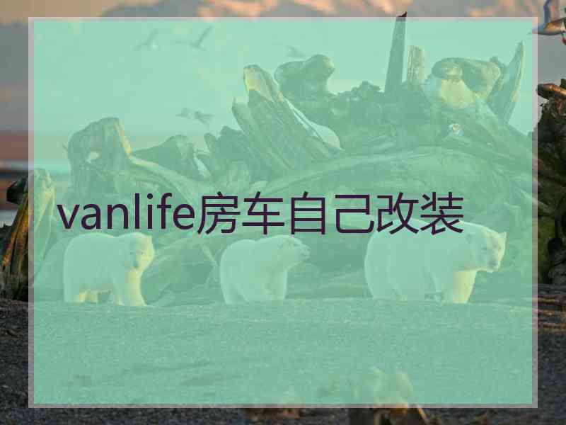 vanlife房车自己改装